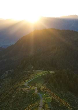 Sunrise Mountain Path in the German Alps