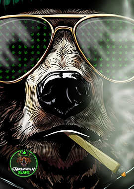 Grizzly Bear Smoking