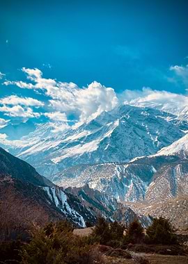 Snowy Mountain Range
