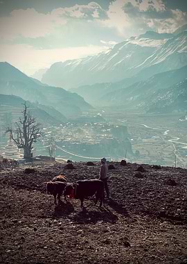 Mountain Village Landscape