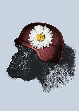 Gorilla with Daisy Helmet