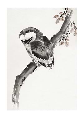 Ink Painting of Owl on Branch