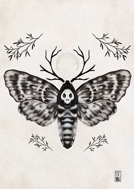 Moth with Skull and Antlers