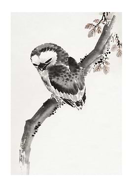 Ink Owl on Branch