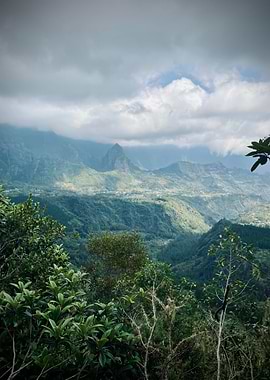 King Kong vibes in Cilaos, Reunion Island