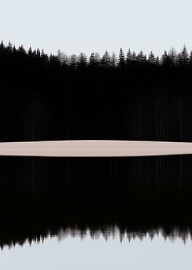 Silhouetted Forest Reflection