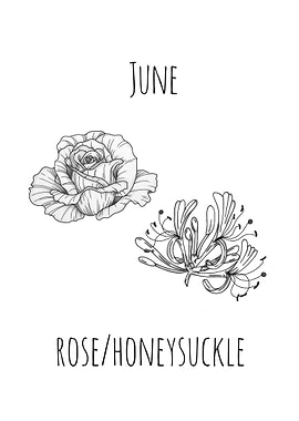June Birth Flower