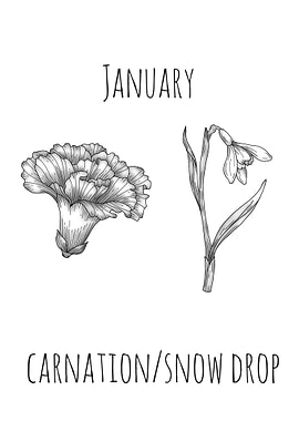 January Birth Flowers
