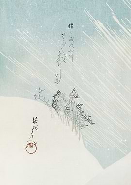 Snowfall in the Mountains