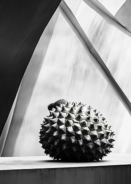 Durian Fruit Still Life