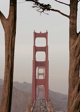 Golden Gate Bride
