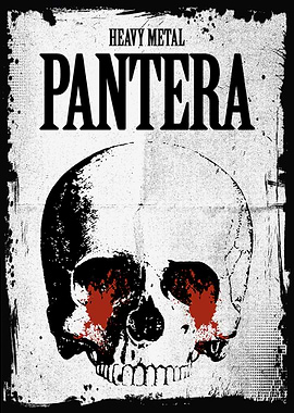 Pantera Heavy Metal Skull Poster