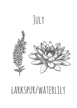 July Birth Flowers