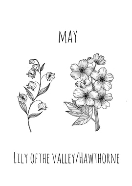 May Birth Flower