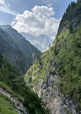 Mountain Valley Landscape