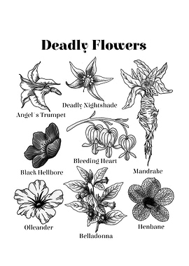 Deadly Flowers Illustration