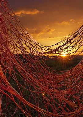 Sunset Through Netting
