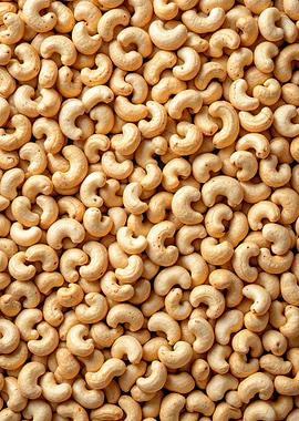 Cashew Nut Texture