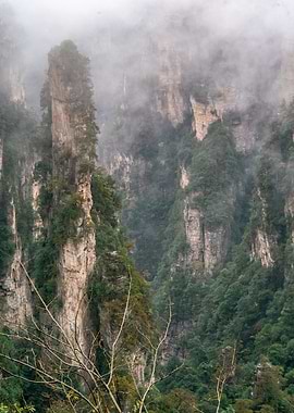 Avatar Misty Mountain Peaks