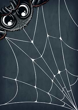 Cute Spider Web