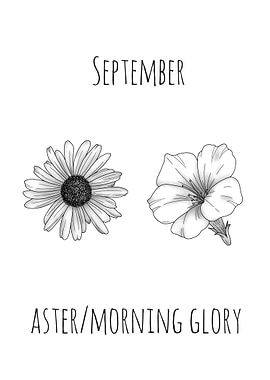 September Birth Flowers