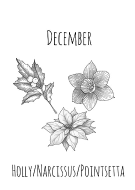 December Birth Flowers