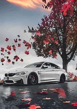 White BMW in Autumn