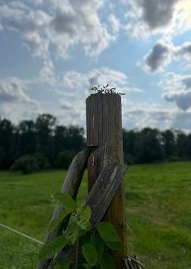 Weathered Fence Post Statue