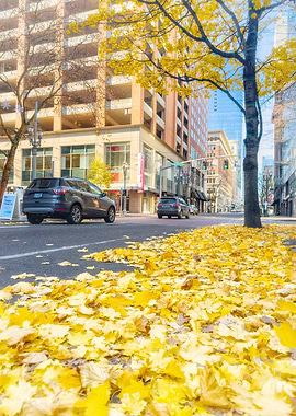 Autumn City Street