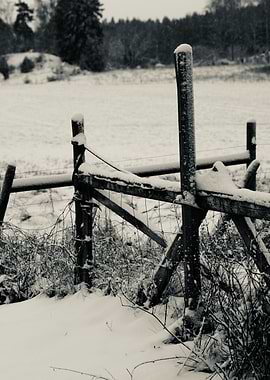Snowy Wooden Fence