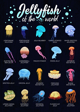 Jellyfish of the World Chart