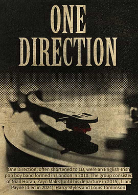 One Direction Vinyl Record