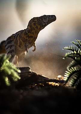 Young T-Rex Dinosaur