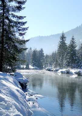 Snowy River in Winter