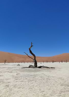 Forgotten Deadvlei