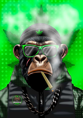 Cool Monkey Smoking weed