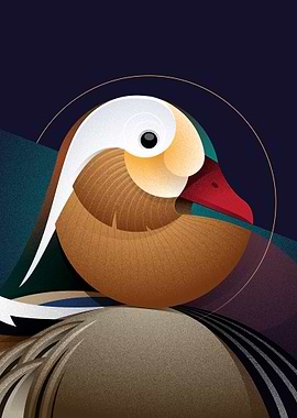 Geometric Mandarin Duck Illustration