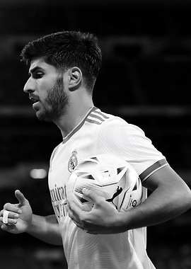 Marco Willemsen Asensio
