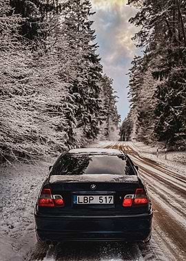 BMW in Snowy Forest