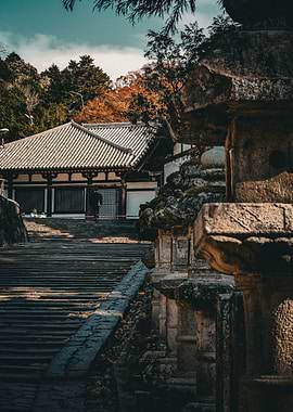Stone Lantern and Temple Steps