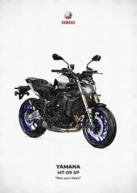 Yamaha MT-09 SP Motorcycle