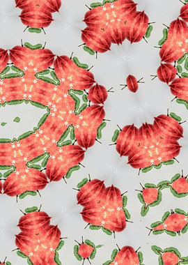 Red and Green Kaleidoscope