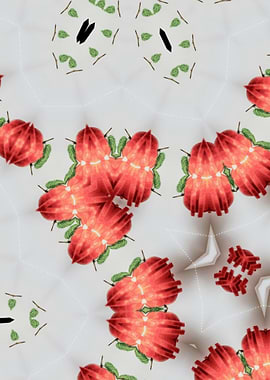 Red Fruit Kaleidoscope