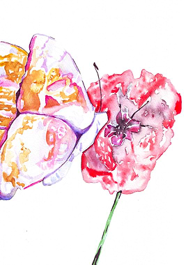 Abstract Butterfly and Poppy