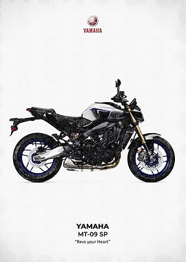 Yamaha MT-09 SP Motorcycle