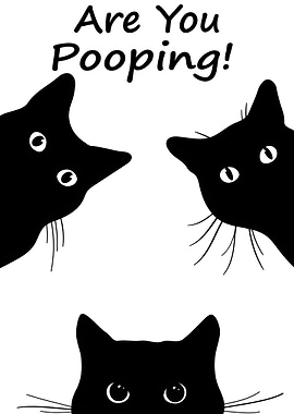 Three Cats Asking 'Are You Pooping?'