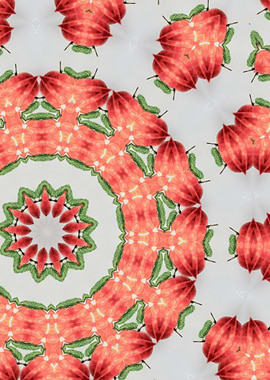 Red and Green Kaleidoscope
