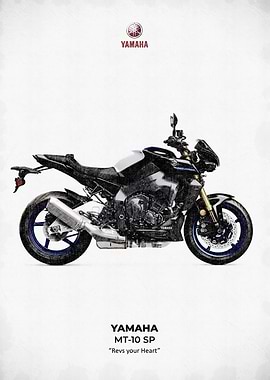 Yamaha MT-10 SP Motorcycle