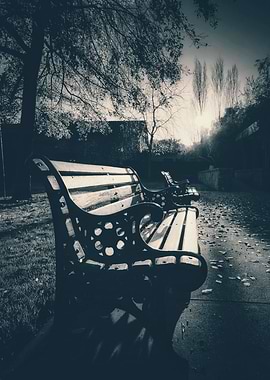 Empty Bench in Park