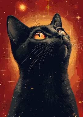 Black Cat Gazing at Stars
